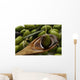 Olive oil Wall Mural