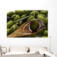 Olive oil Wall Mural