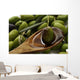 Olive oil Wall Mural