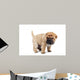 Beige Puppy Sharpei Wall Decal