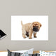 Beige Puppy Sharpei Wall Decal