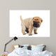 Beige Puppy Sharpei Wall Decal