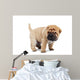 Beige Puppy Sharpei Wall Decal