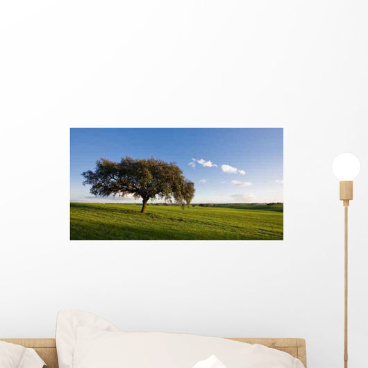 Alentejo Wall Decal