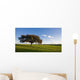 Alentejo Wall Decal