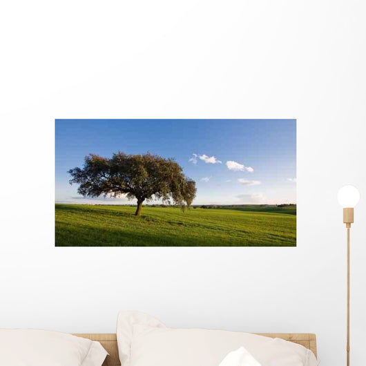 Alentejo Wall Decal