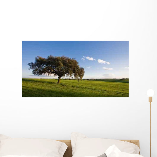 Alentejo Wall Decal