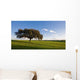 Alentejo Wall Decal