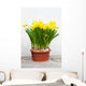 Narzissen im Fr Hling Wall Mural