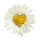 Spring Love Flower Wall Decal