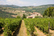Vineyard House