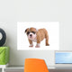 English Bulldog Puppy Wall Decal