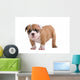 English Bulldog Puppy Wall Decal