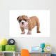 English Bulldog Puppy Wall Decal