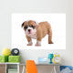 English Bulldog Puppy Wall Decal