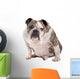 English Bulldog Wall Decal