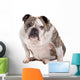English Bulldog Wall Decal