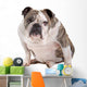 English Bulldog Wall Decal
