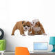English bulldog puppies Wall Decal