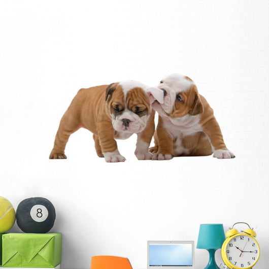 English bulldog puppies Wall Decal