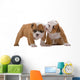 English bulldog puppies Wall Decal