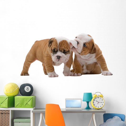 English bulldog puppies Wall Decal