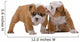 English bulldog puppies Wall Decal