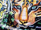 Mural Felines Valparaiso Wall Mural