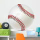 Baseball Ball