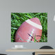 Football Wall Mural