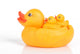Rubber Duck