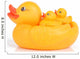 Rubber Duck