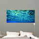 Diving Fish and Coral Wall Decal