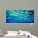 Diving Fish and Coral Wall Decal
