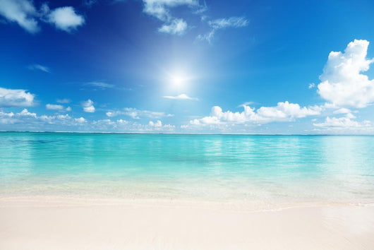 sand and Caribbean sea Wall Mural