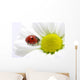 ladybug Wall Mural