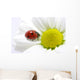 ladybug Wall Mural