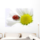 ladybug Wall Mural