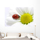 ladybug Wall Mural
