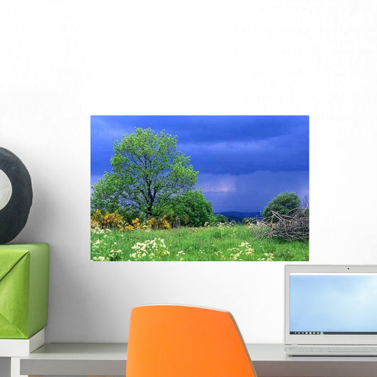 Sky Cover Wall Decal