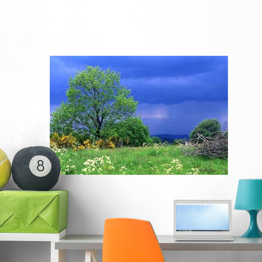 Sky Cover Wall Decal
