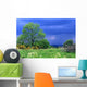 Sky Cover Wall Decal