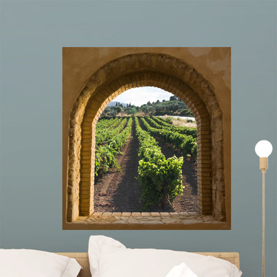 Arched Window Vineyard Wall Mural shown on a wall