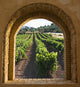 Arched Window on the Vineyard Wall Mural