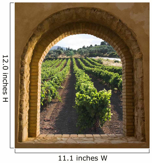 Vineyard Wallpaper Murals