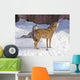 Wolves Wall Mural