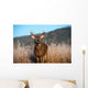Whitetail Buck Standing Meadow Wall Mural