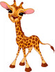 Giraffe Calf Wall Decal