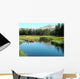 kayak Wall Mural