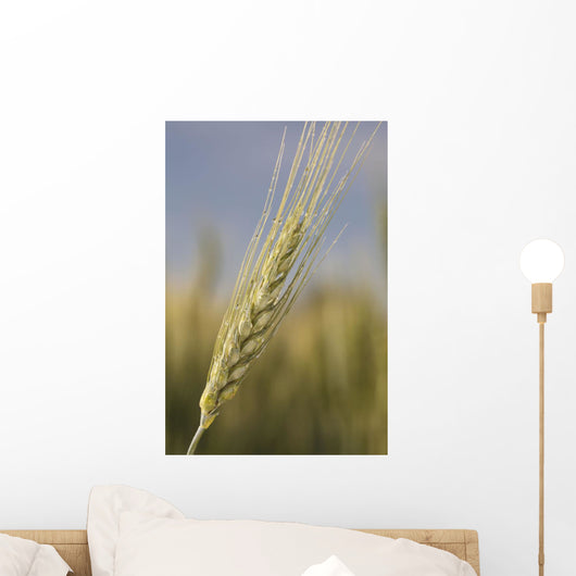 Up Green Wheat Head Wall Decal